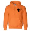 Unisex DryBlend® Hooded Sweatshirt Thumbnail