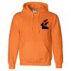 Unisex DryBlend® Hooded Sweatshirt Thumbnail